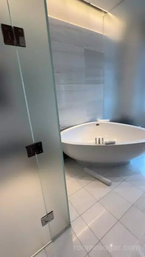 Penthouse Loft bathroom picture #7