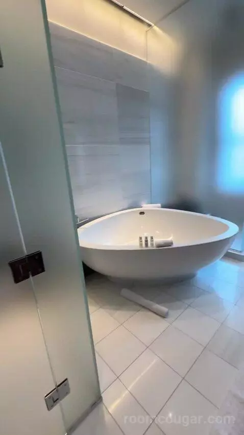 Penthouse Loft bathroom picture #8