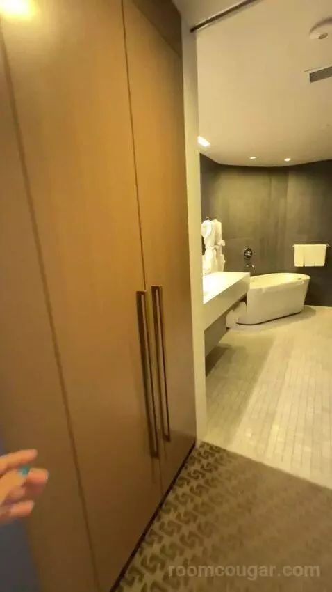 Junior Suite bathroom picture #4