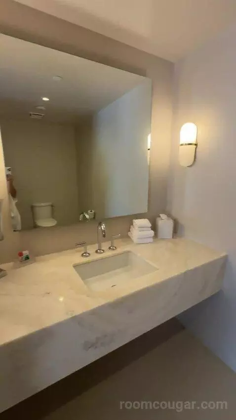 One-Bedroom Presidential King Suite bathroom picture #1