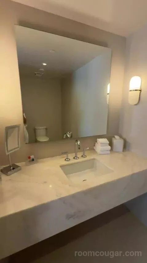 One-Bedroom Presidential King Suite bathroom picture #2