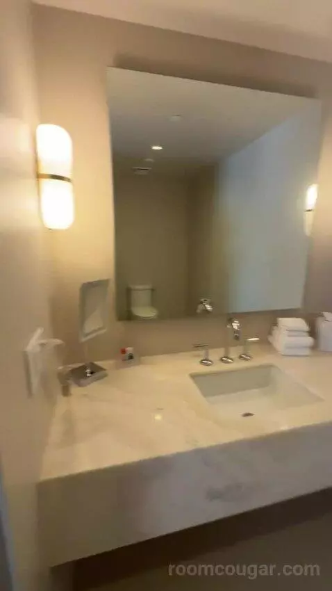 One-Bedroom Presidential King Suite bathroom picture #3
