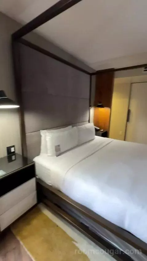One-Bedroom Presidential King Suite bed picture #8