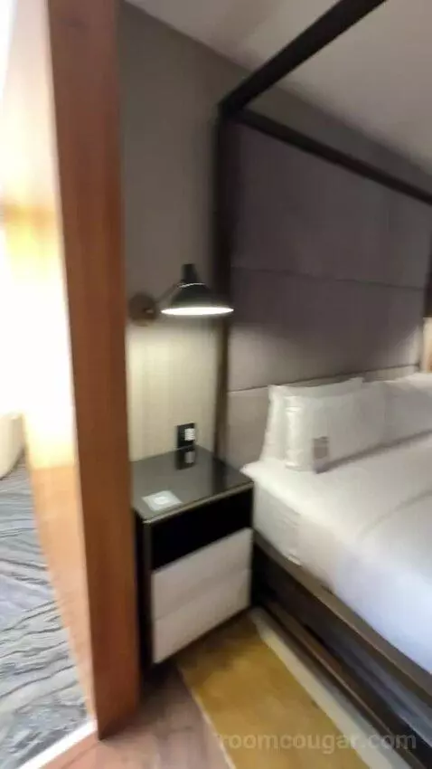One-Bedroom Presidential King Suite bed picture #12