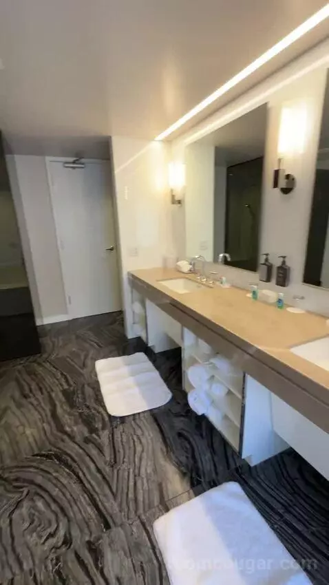 One-Bedroom Presidential King Suite bathroom picture #7