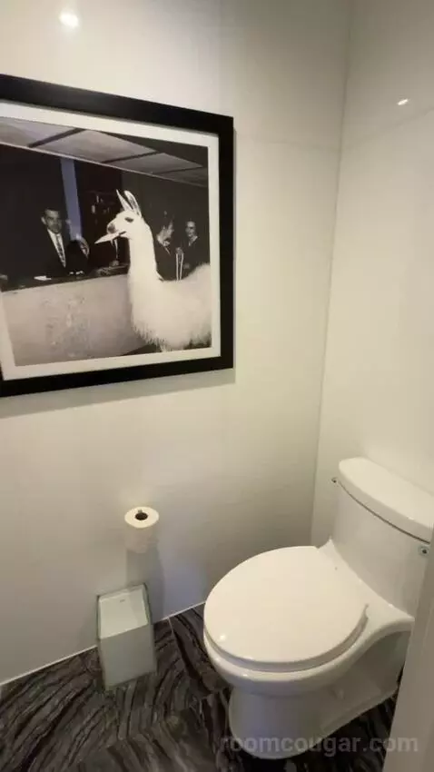 One-Bedroom Presidential King Suite bathroom picture #10