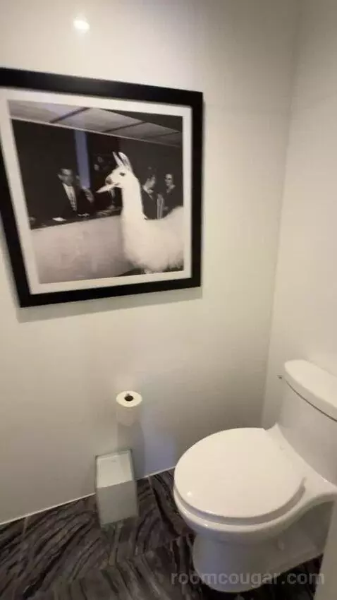 One-Bedroom Presidential King Suite bathroom picture #11