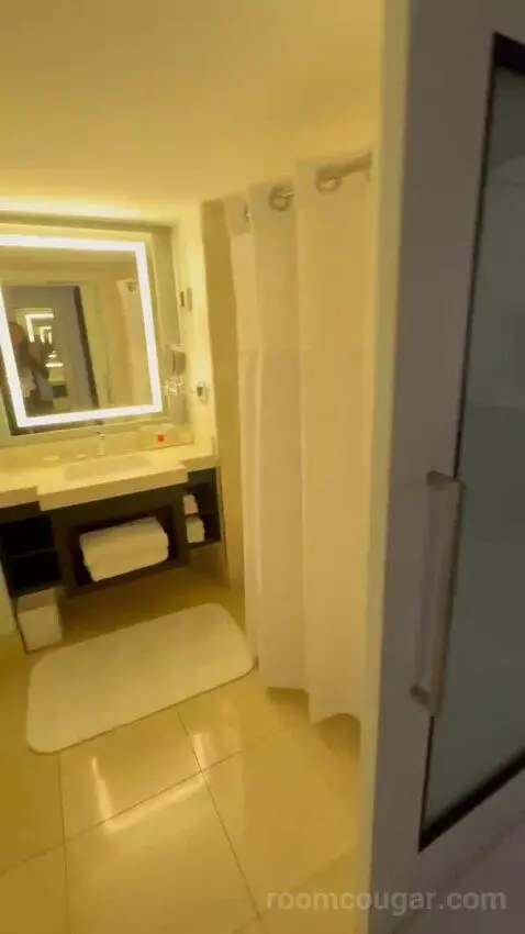King Room with City View bathroom picture #3
