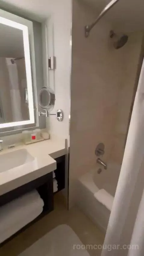 King Room with City View bathroom picture #5