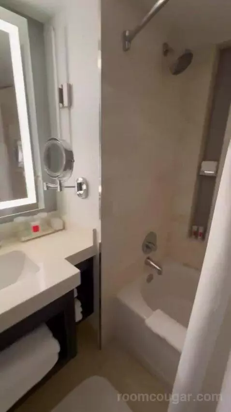 King Room with City View bathroom picture #6