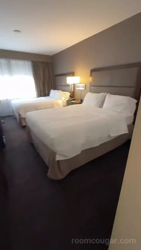Queen with Two Queen Beds bed picture #4