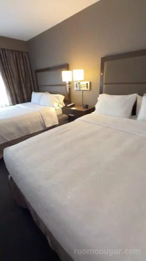 Queen with Two Queen Beds bed picture #6