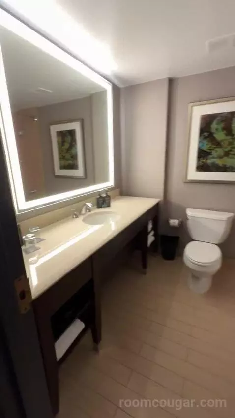 Guest Room, 2 Queen bathroom picture #2