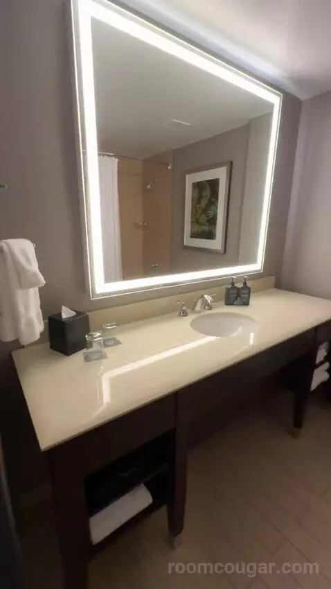 Guest Room, 2 Queen bathroom picture #3