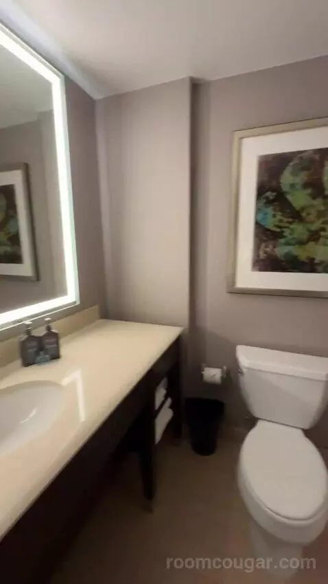 Guest Room, 2 Queen bathroom picture #5