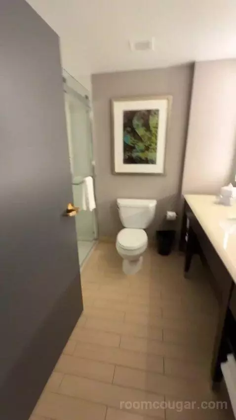 Guest Room, 1 King bathroom picture #1