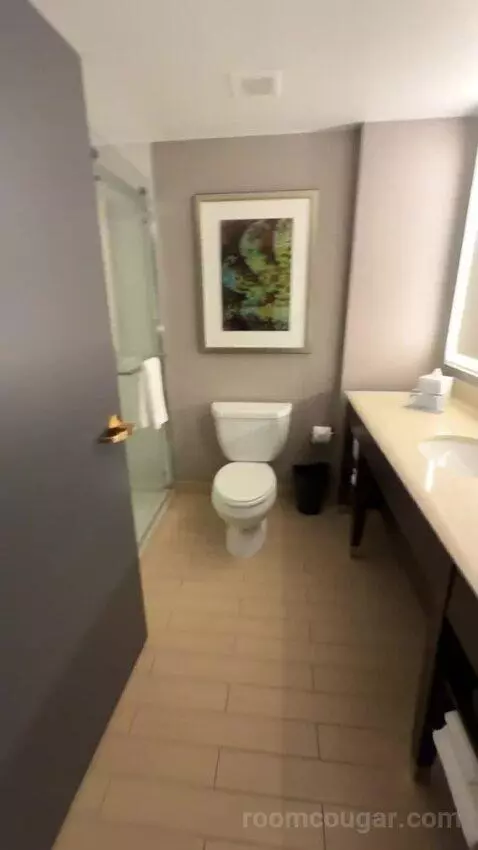 Guest Room, 1 King bathroom picture #2