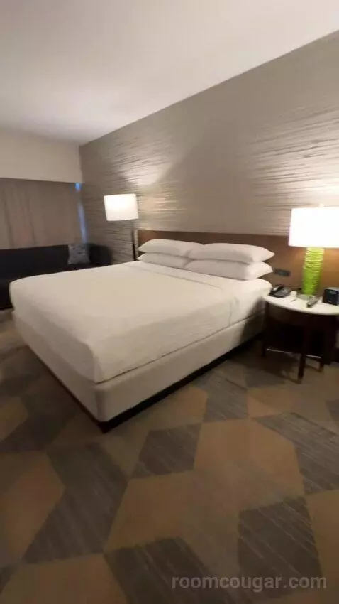 Guest Room, 1 King bed picture #5