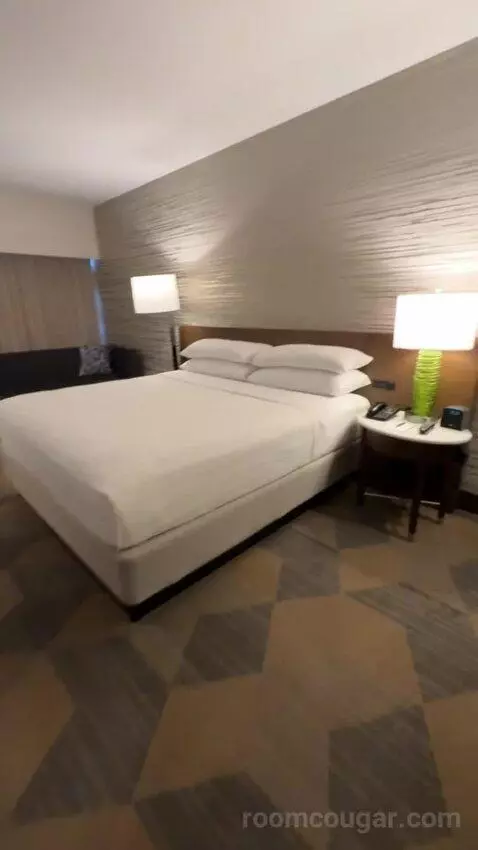 Guest Room, 1 King bed picture #6