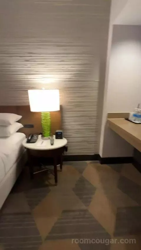 Guest Room, 1 King bed picture #10
