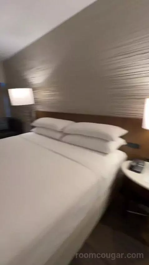 Guest Room, 1 King bed picture #11