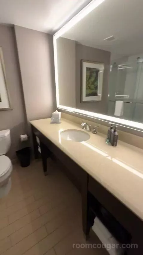 Guest Room, 1 King bathroom picture #3