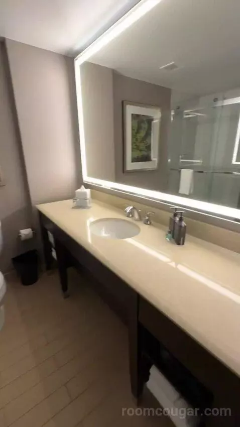 Guest Room, 1 King bathroom picture #4