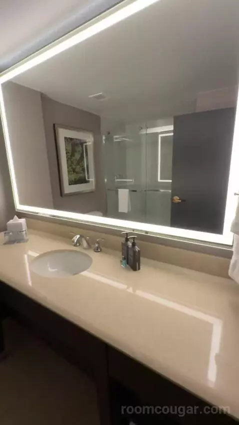 Guest Room, 1 King bathroom picture #5