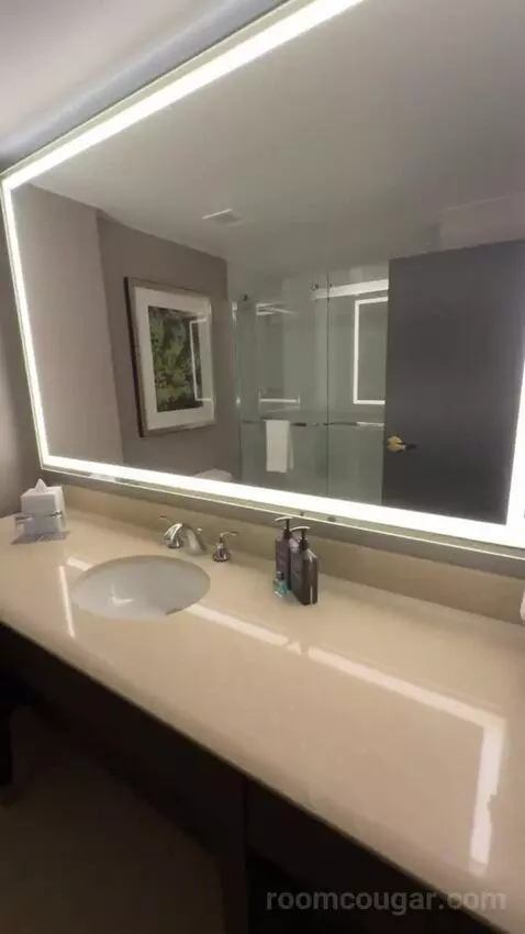Guest Room, 1 King bathroom picture #6
