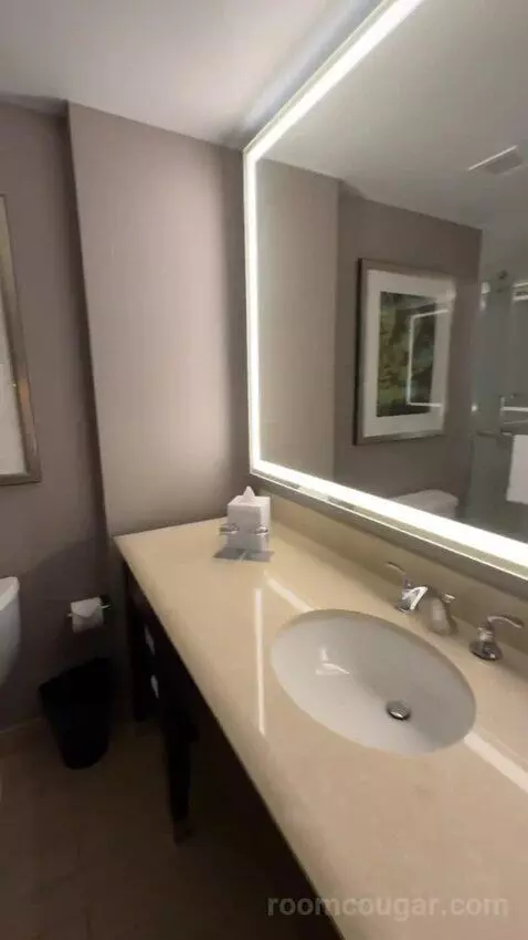 Guest Room, 1 King bathroom picture #7