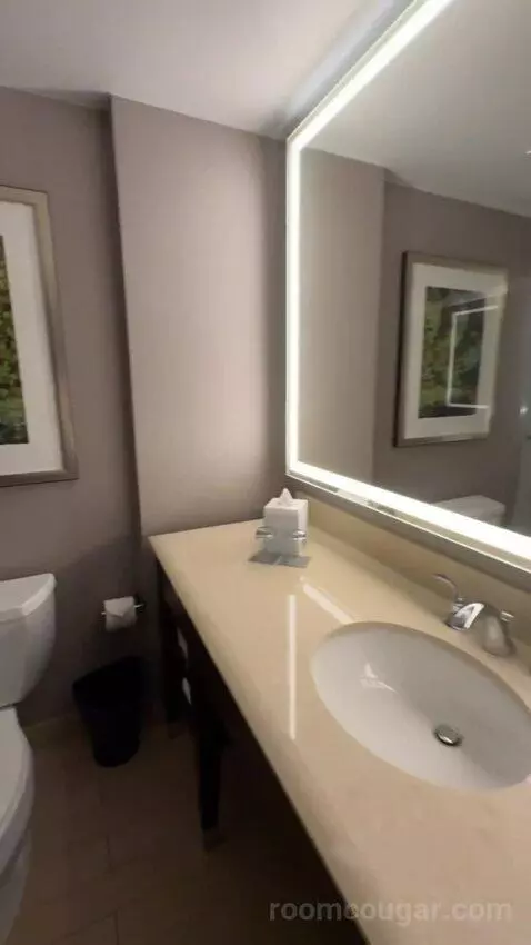 Guest Room, 1 King bathroom picture #8