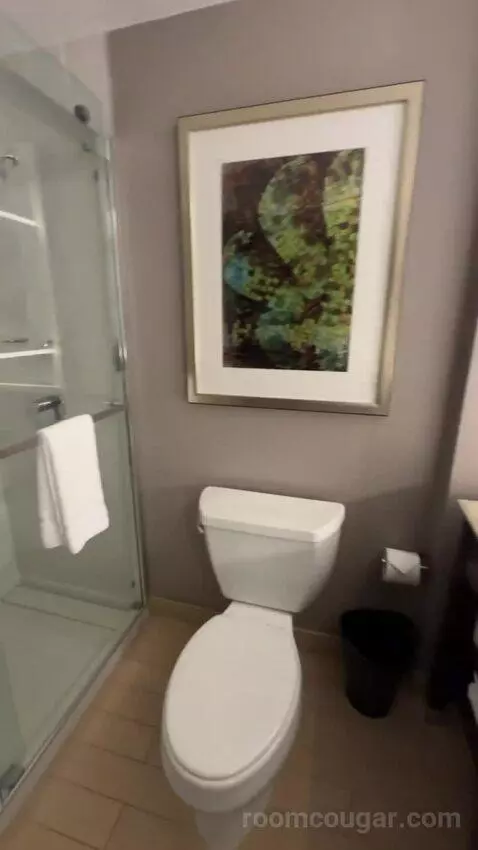 Guest Room, 1 King bathroom picture #9