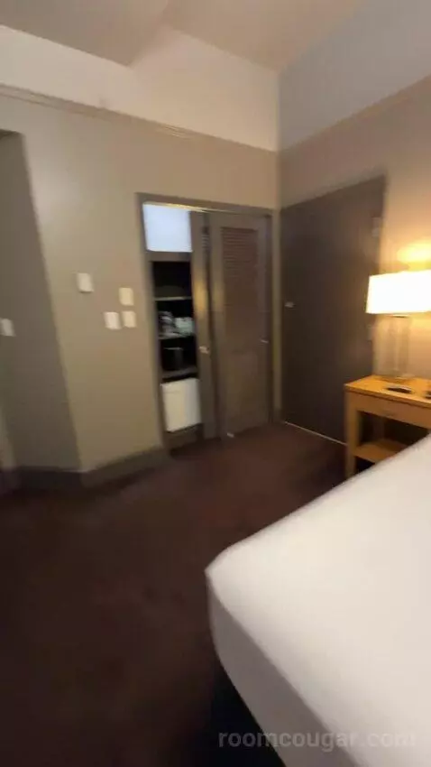 Deluxe King Room bed picture #9