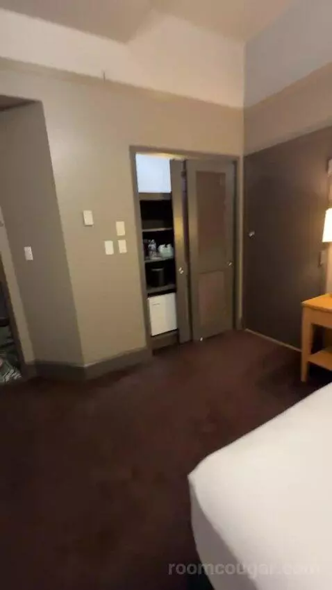 Deluxe King Room bed picture #10