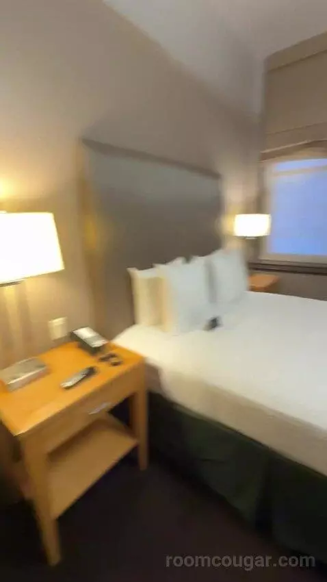Deluxe King Room bed picture #11