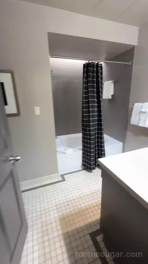 Deluxe King Room bathroom picture #1