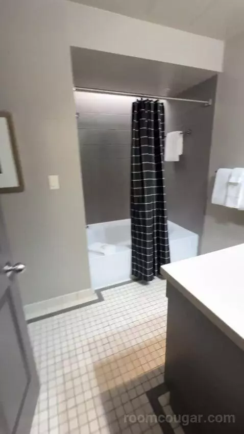 Deluxe King Room bathroom picture #2