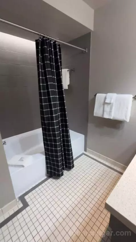 Deluxe King Room bathroom picture #4