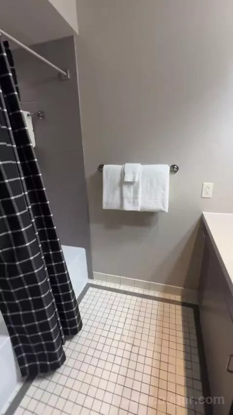 Deluxe King Room bathroom picture #6