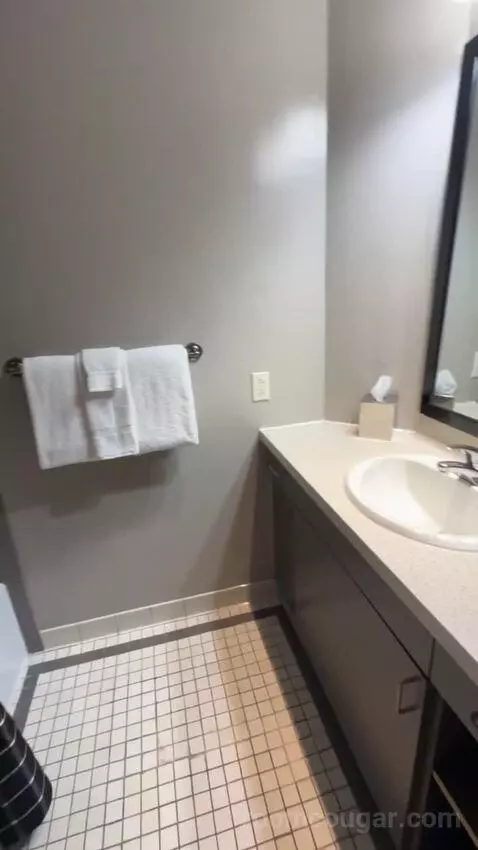 Deluxe King Room bathroom picture #7
