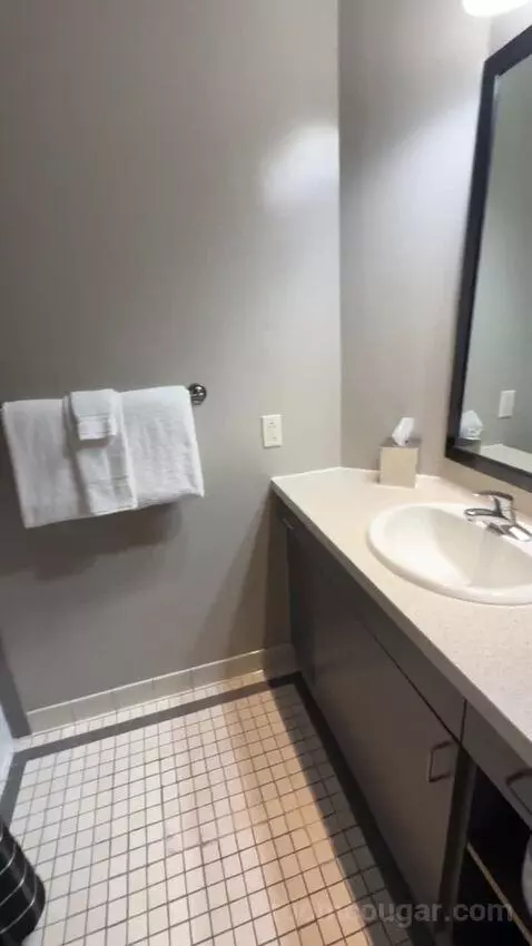 Deluxe King Room bathroom picture #8