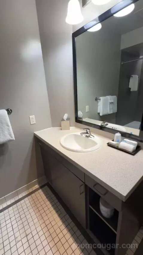 Deluxe King Room bathroom picture #9