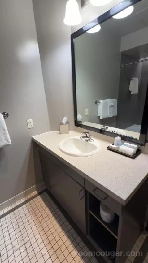 Deluxe King Room bathroom picture #10