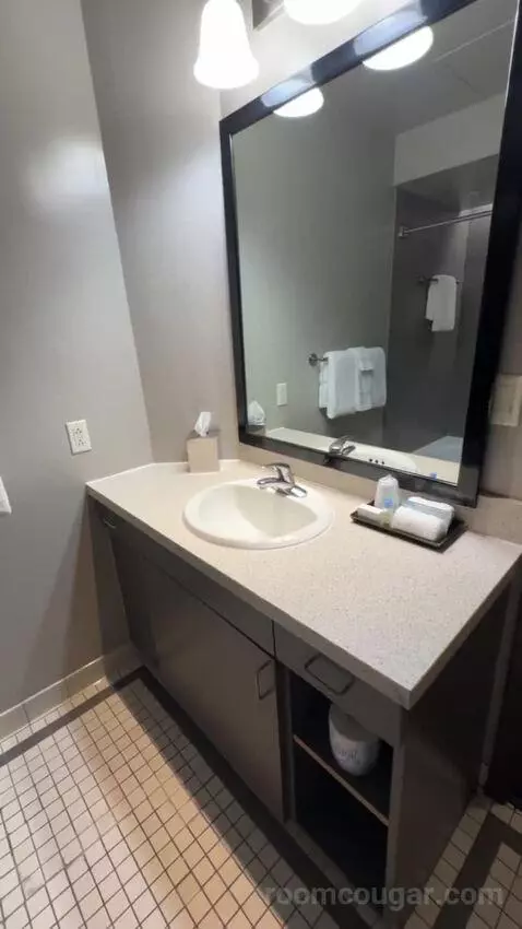 Deluxe King Room bathroom picture #11