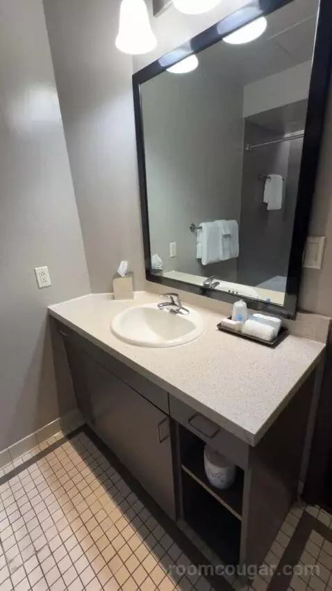 Deluxe King Room bathroom picture #12