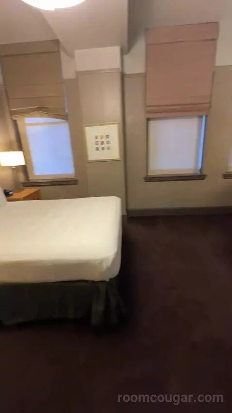 Deluxe King Room bed picture #7