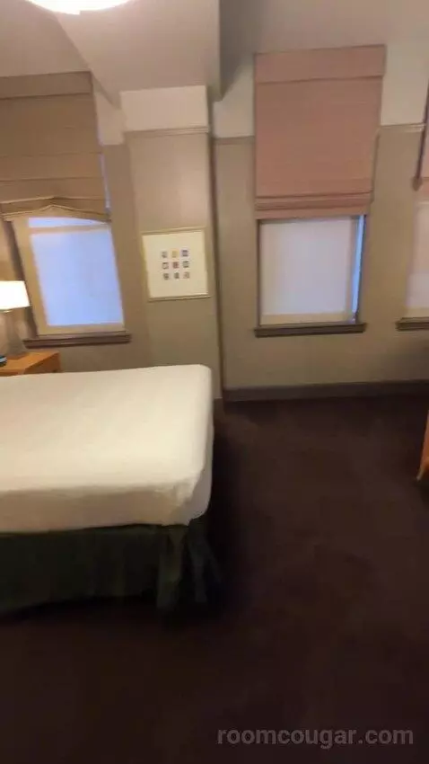 Deluxe King Room bed picture #8