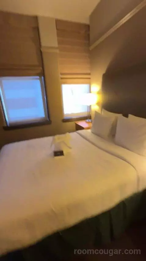 King Suite bed picture #11