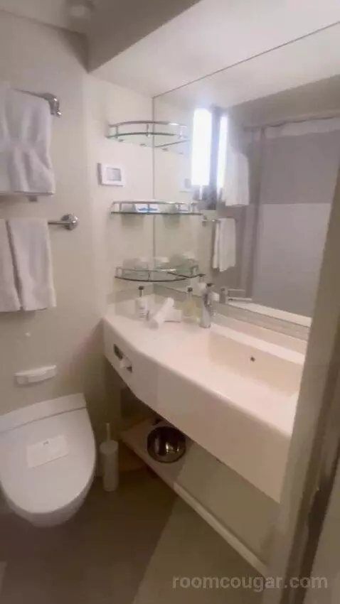 Inside Cabin bathroom picture #3