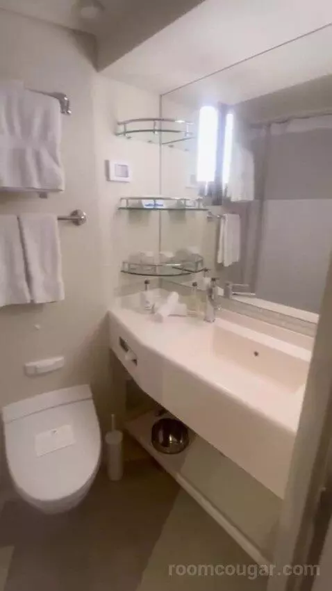 Inside Cabin bathroom picture #4